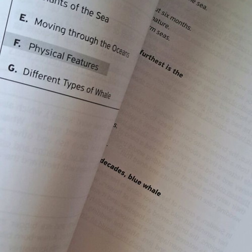 Success in ESB B2 Teacher's Book new
