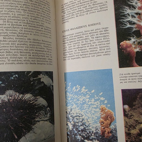 Walt Disney The Secret Life of Animals illustrated book
