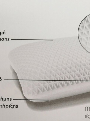 Palmaiki Airgrid pillow new with memory foam filling