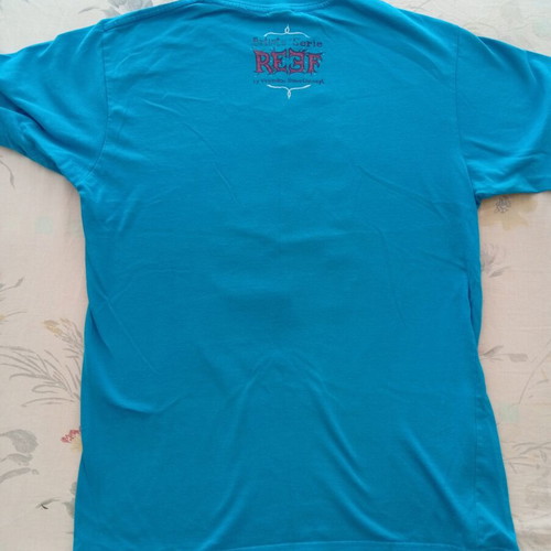 T shirt like new, size L, blue with print