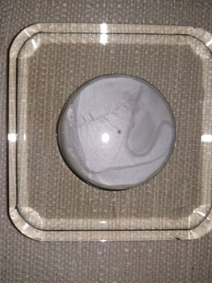 Compass used with small dents on the bottom