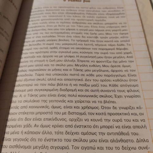 Language Schoolbook Grade 3 The Amazing Pencils like new