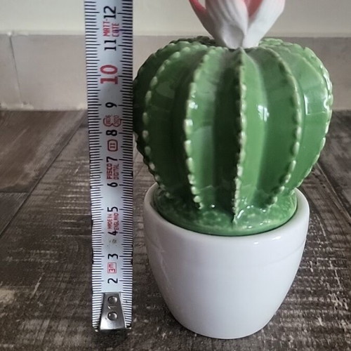 Decorative porcelain cactus new