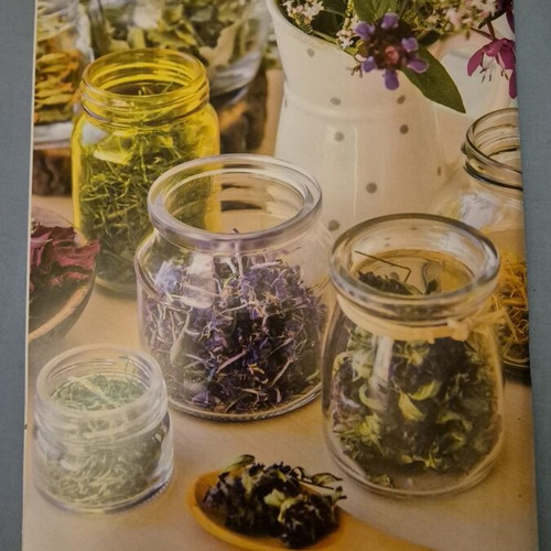 Botana & Therapeies Magazine Issue 4 like new, sciences