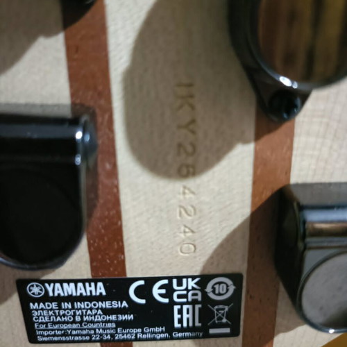 Yamaha TRBX-505 5-string bass guitar