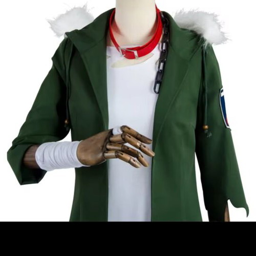 Carnival costume new