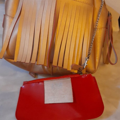 FRNC Backpack gold/bronze with fringes and matching pouch like new