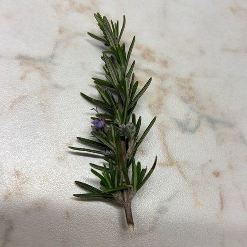 Fresh rosemary from Chania 500g like new