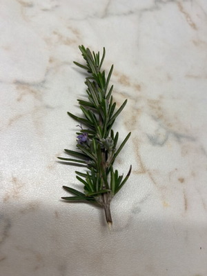 Fresh rosemary from Chania 500g like new