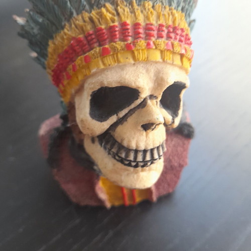 Skull in excellent condition, height 13cm