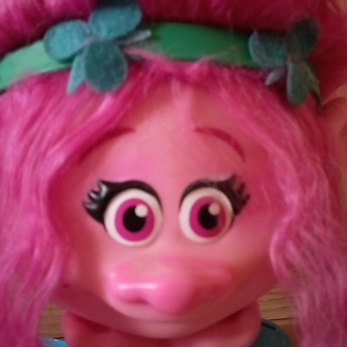 Trolls Efxoulis styling head used