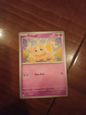 Pokemon card new