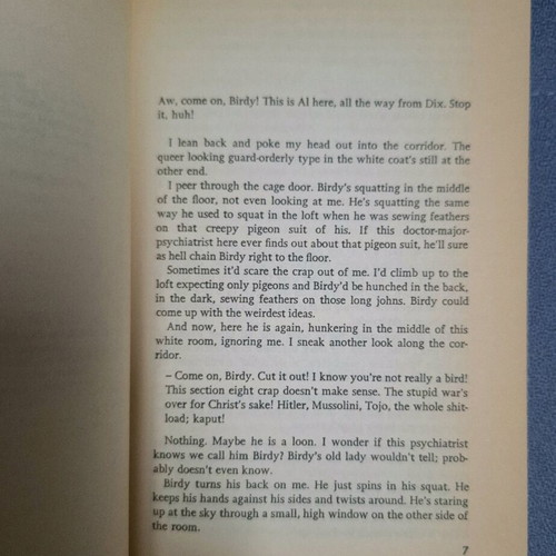 Book Birdy by William Wharton like new, English