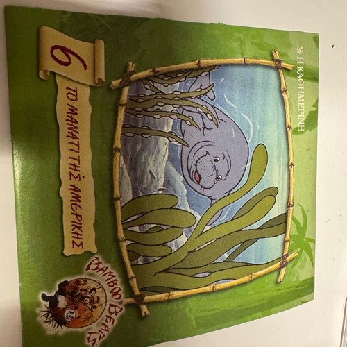 VCD bamboo bears