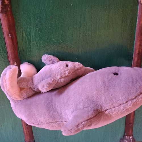 Stuffed dolphin used in good condition
