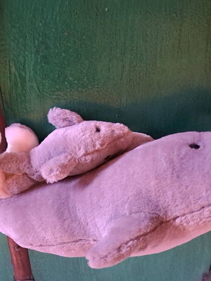 Stuffed dolphin used in good condition