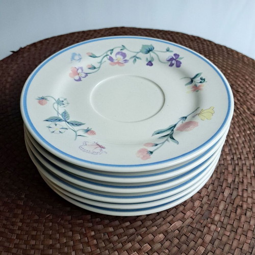 Set of 6 plates with classic country floral pattern like new