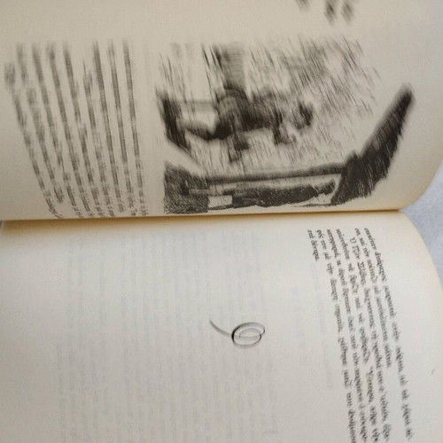 The Treasure Island used children's book