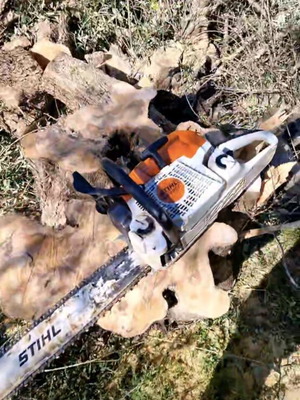 Stihl ms 400