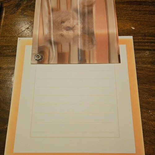Neutral greeting card with 3D cover new