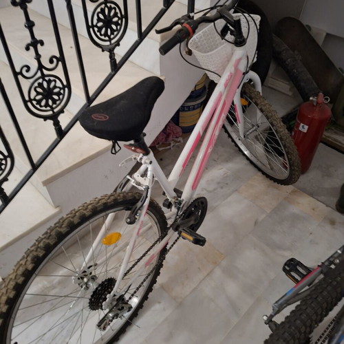 Women's city bike 24 inch with V-Brakes and gears