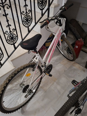Women's city bike 24 inch with V-Brakes and gears