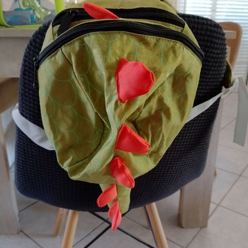 Insulated lunch bag and small backpack like new