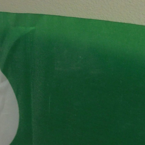 Panathinaikos FC advertising fabric flag used with plastic handle