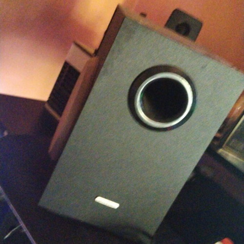Stereo speaker, 1000W