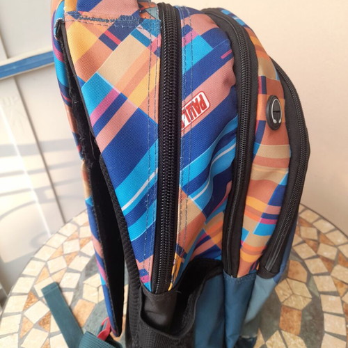 Paul Frank school backpack with multiple compartments