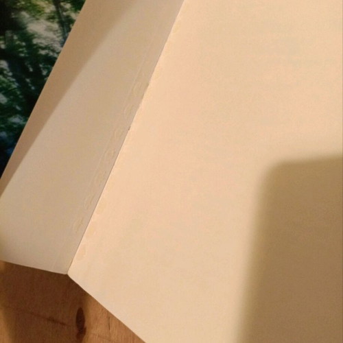 The Game of Paradox used book