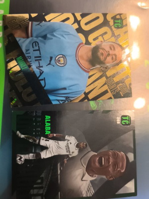 Panini Top Class Mahrez Holo and Alaba Unbeatable cards like new, set of 2