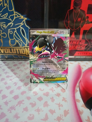 Mega Mawile ex Pokemon Mega Evolution new
