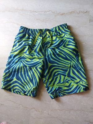 Плувни шорти Firefly за момчета 152см 12 години синьо-зелени употребявани