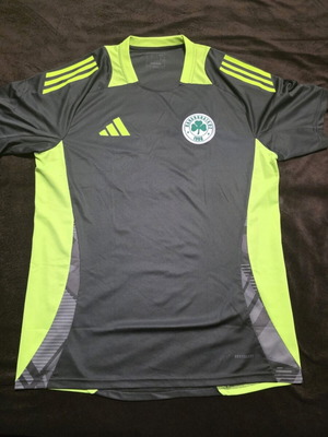 Panathinaikos Adidas training shirt like new, size Large