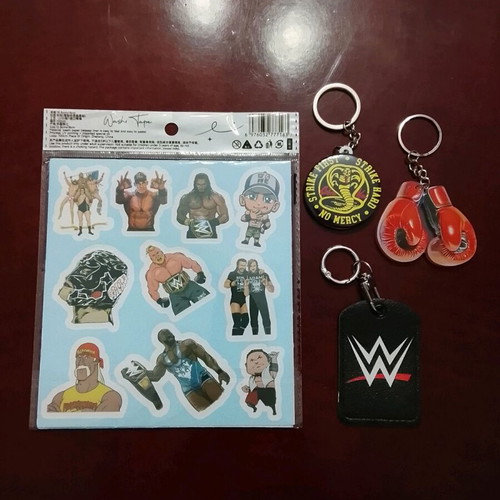 WWE keychains and stickers new