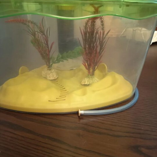 Clementoni AS aquarium for children, educational