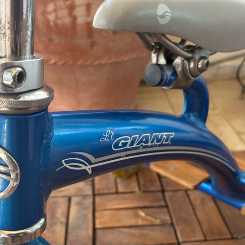 Giant Li’l children's tricycle used with removable handle