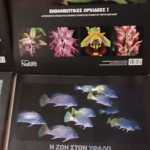 Explore Nature album used, pack of 4 volumes