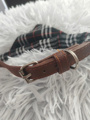 Dog accessory size S new, adjustable