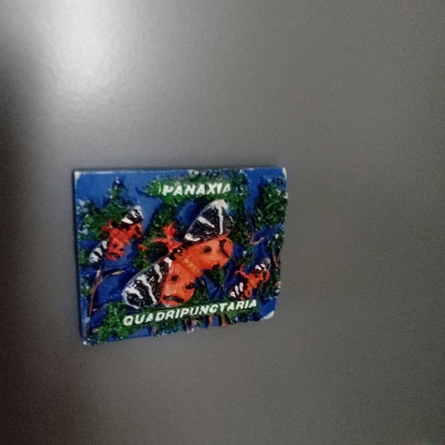 Paros Butterfly Magnet new, blue orange black colors
