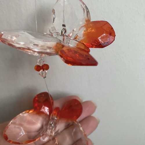 Decorative butterfly new