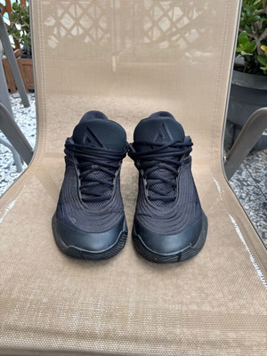 Nike Giannis Immortality 4 basketball shoes used, men's size 46, black