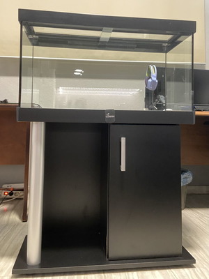Diversa aquarium 112L with cabinet and lighted lid