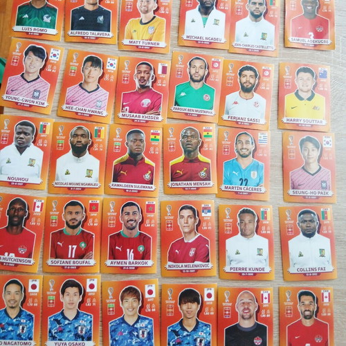 Panini World Cup 2022 stickers, collectible