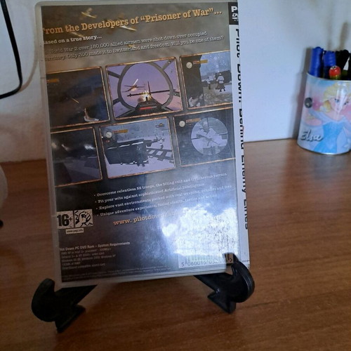 Pilot Down PC DVD used 16+