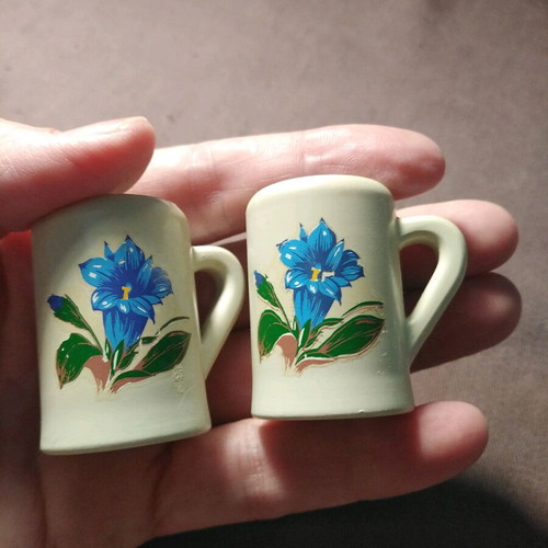 Miniature beer mugs used, set of two with floral design