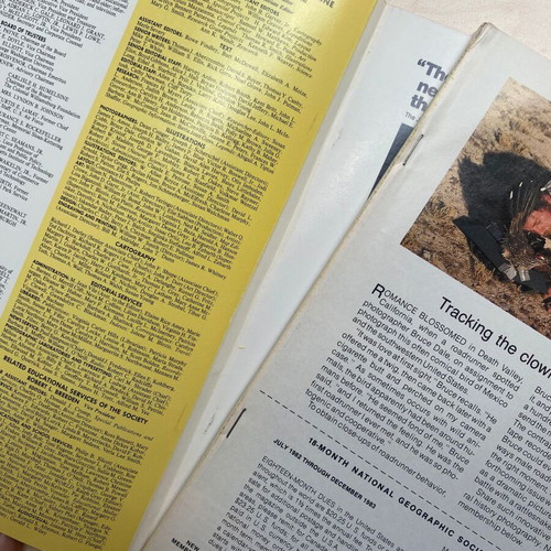 National Geographic Magazine April 1982 Vol 161 04 USA edition used