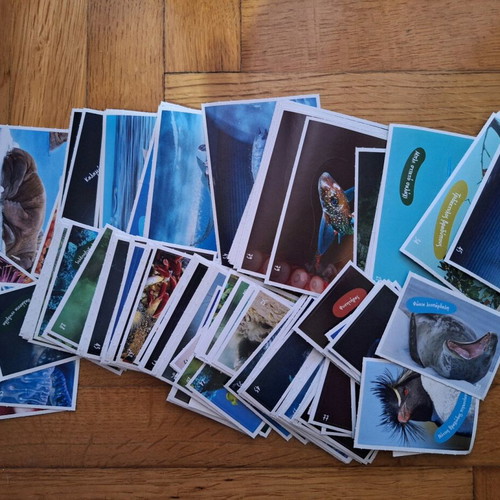 AB Vassilopoulos Exploring the Ocean collectible stickers new