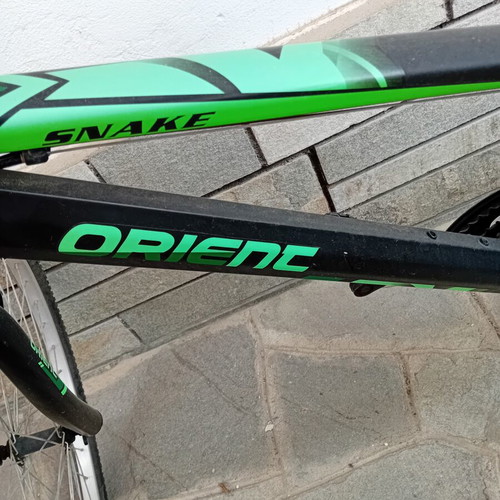Orient Snake adult bicycle with 7 speeds